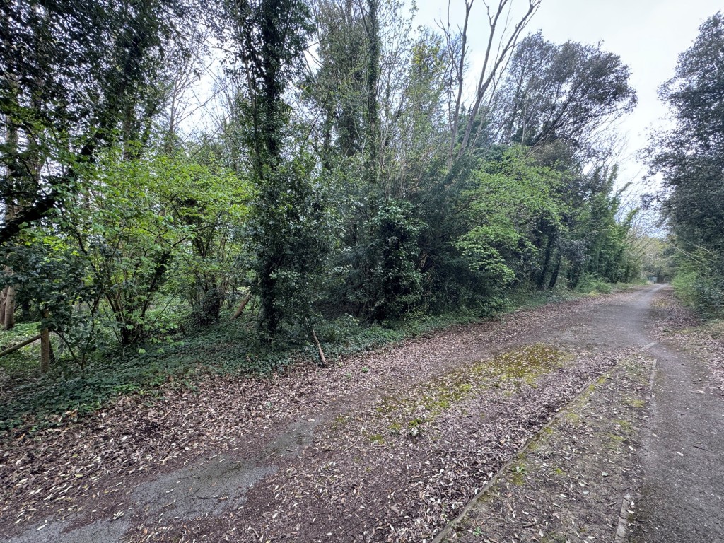 Lot: 7 - APPROX 1.7 ACRES WOODLAND - Woodland to the left hand side of old road